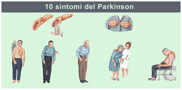 Intestino e cervello collegati su di un cip