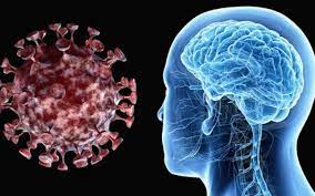 “Il cervello ai tempi del Covid”: la SIN fa chiarezza su legame vaccino e malattie neurologiche