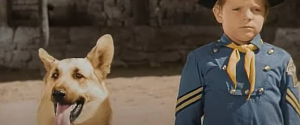 Addio a Lee Aaker, l’attore protagonista del telefilm Rin Tin Tin