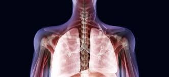A New York il primo intervento al mondo di trapianto di trachea