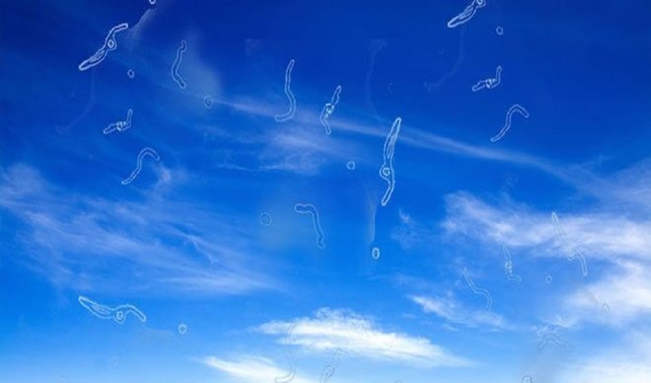 Mosche volanti negli occhi, cosa preannunciano?