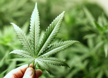 18enne in manette per spaccio, trovata droga nel borsone della palestra