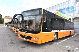 Disabile abusata su bus di linea, processati 8 autisti