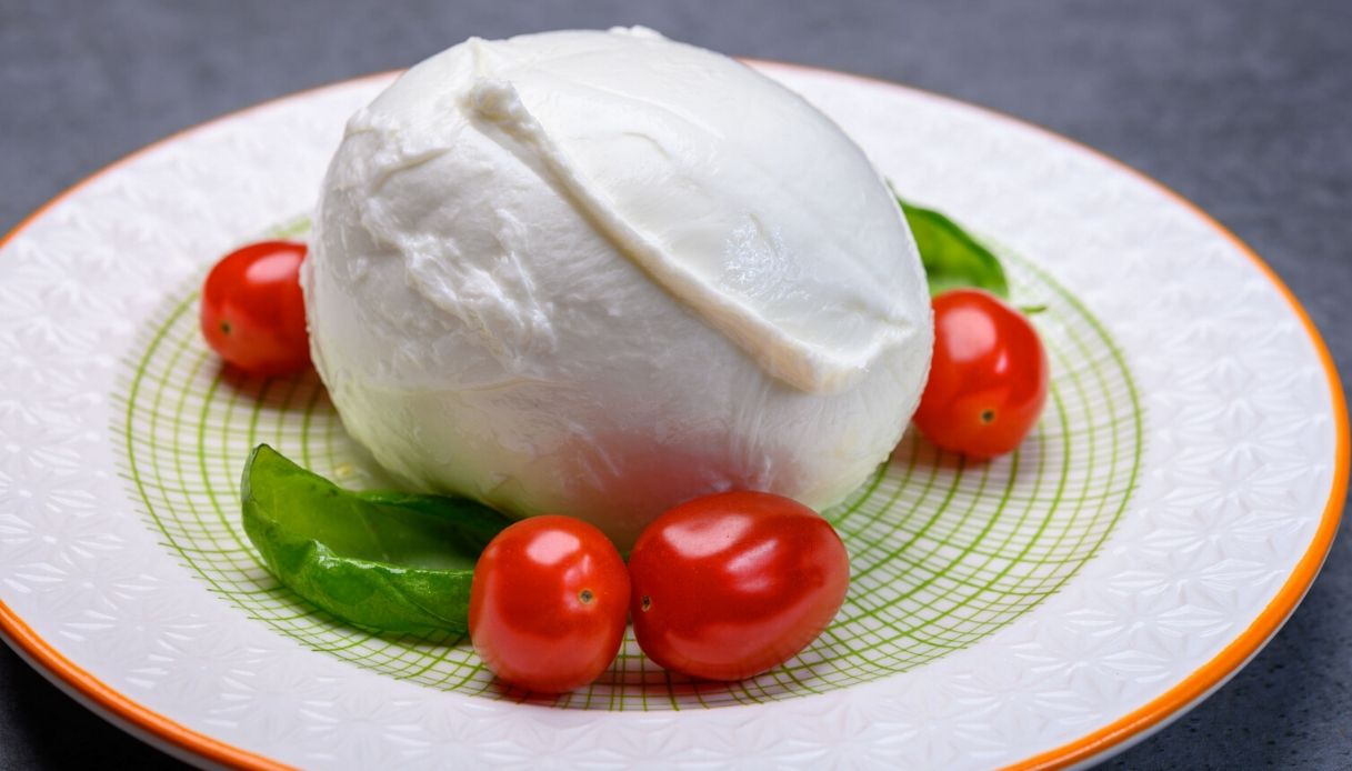 Consorzio Bufala Dop, crescita del 22% in cinque anni