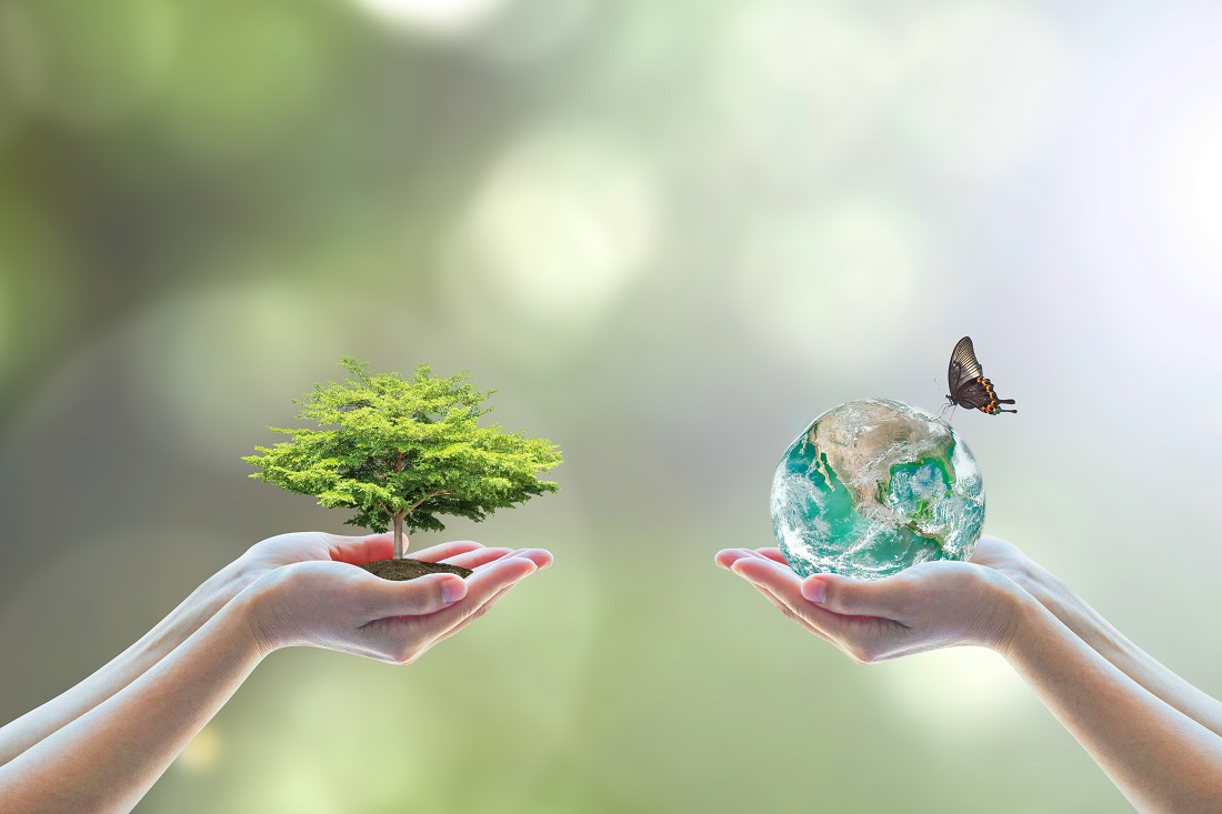 Educazione alla biodiversità: dal prossimo anno gemellaggi e alberi nelle scuole