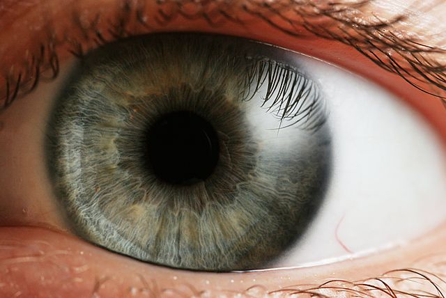 Degenerazione maculare, arriva il primo trapianto retina da staminali