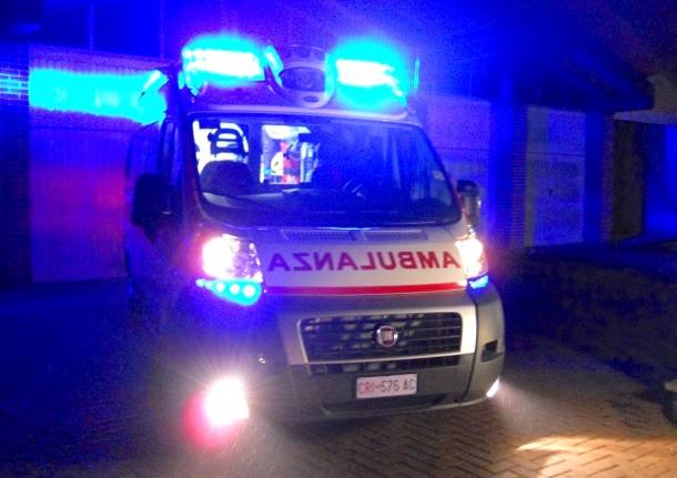 Missaglia, muore investito da un’auto insieme al cane