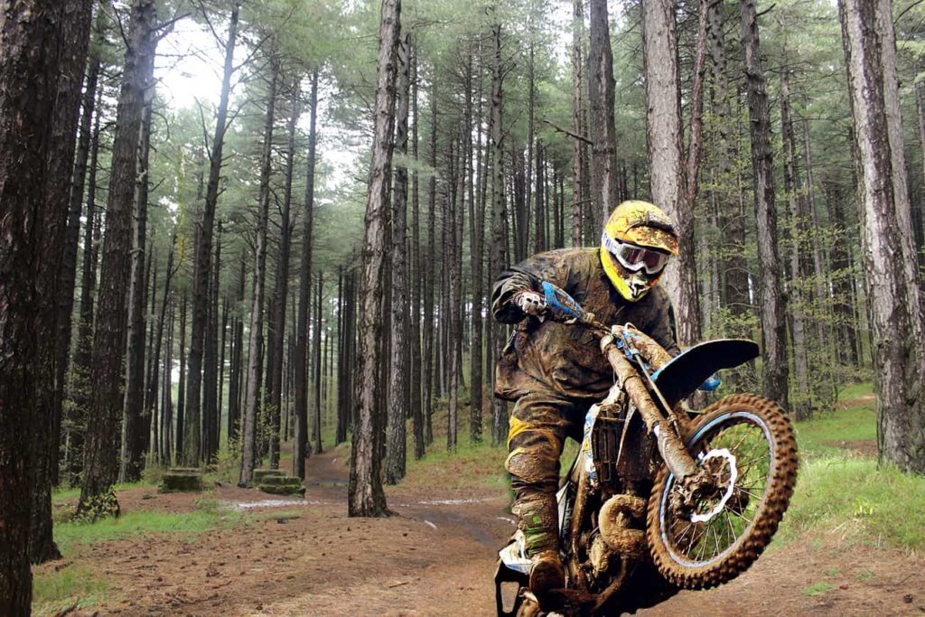 Wwf lancia un appello: “I boschi dell’Etna invasi da auto e motociclette”