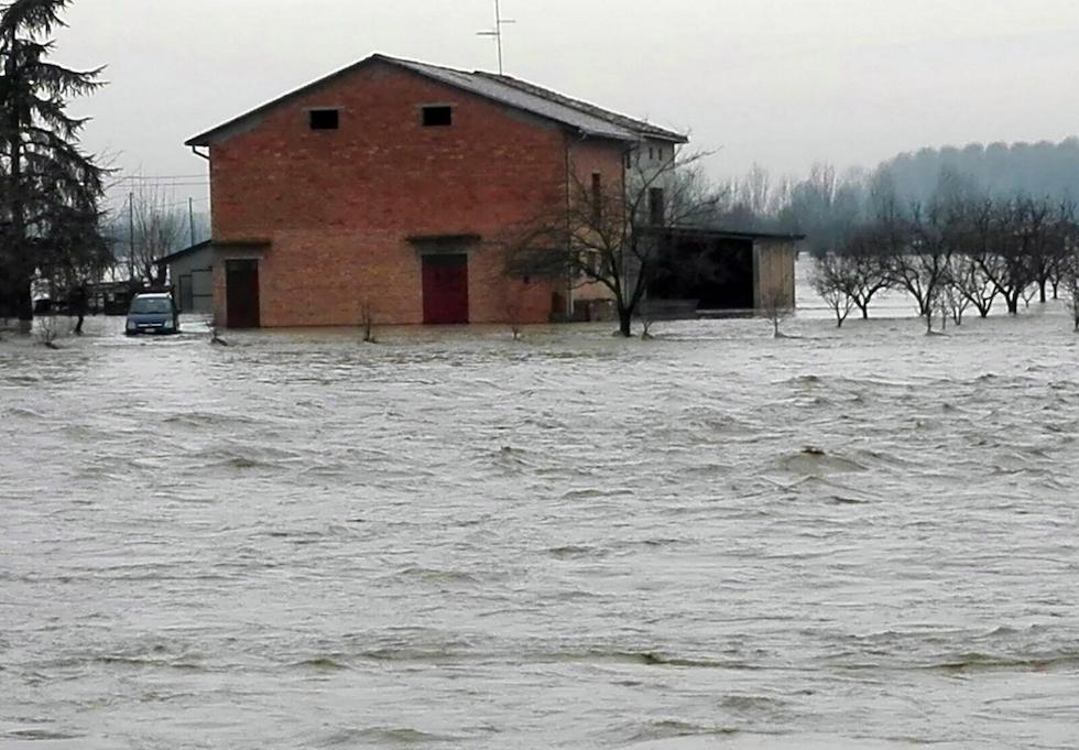 Confagricoltura: “In Romagna da estirpare 10 mln di alberi da frutto”