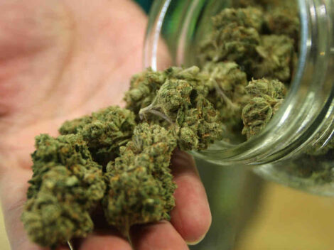 Universitari finiscono in ospedale dopo aver mangiato a Monza, dolci alla marijuana