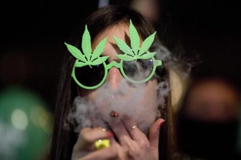 Reggio Calabria, un maxi sequestro di cannabis nella Piana di Gioia Tauro