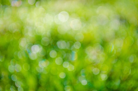 CUEIM, annunciata la nascita di un ecosistema italiano del Good Business
