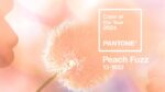 Casa, il colore Pantone  2024 è il peach fuzz