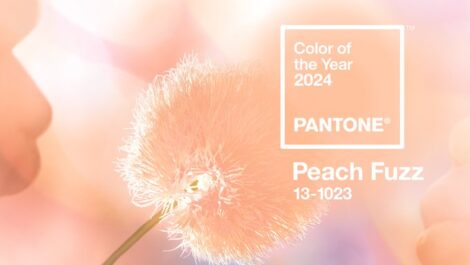 Casa, il colore Pantone  2024 è il peach fuzz