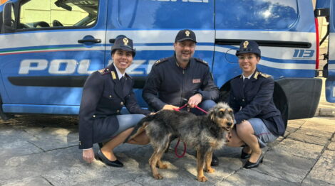 Reggio Calabria, la cagnolina Lisa è stata adottata dalla Polizia e entra nel gruppo cinofili
