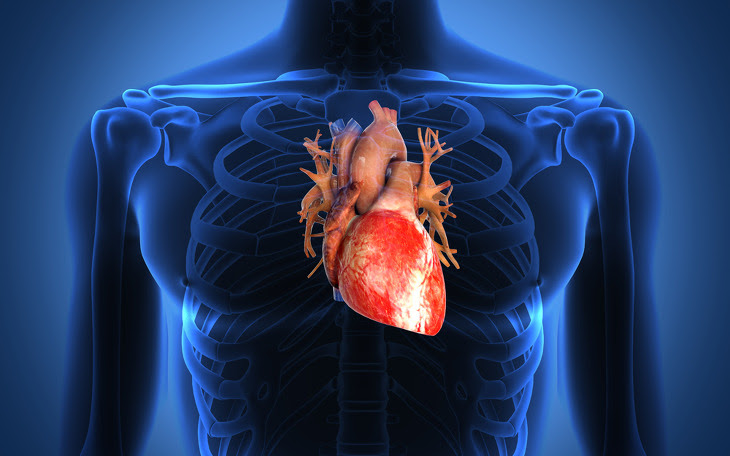 MICS2024, Bari: conclusosi il congresso biennale, vi hanno preso parte, per un confronto, esperti di chirurgia di valvole cardiache