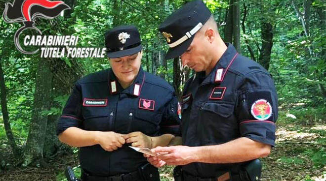 Maxi operazione antibracconaggio, sequestrati centinaia di uccelli catturati con mezzi non consentiti