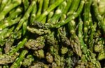 Frosinone, era andata in cerca di asparagi. Ventottenne caduta e morta in una scarpata
