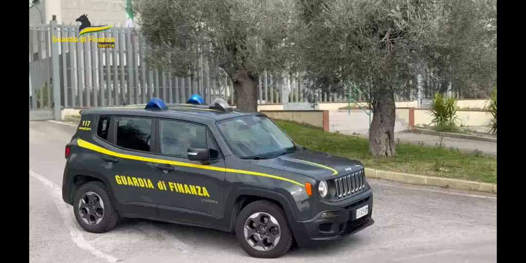 Isernia, Guardia di Finanza sequestra 11 tartarughe “Testudo Hermanni”