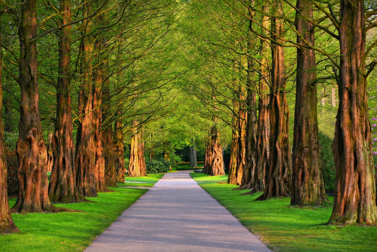parco ph credit pixabay
